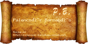 Palencsár Barnabás névjegykártya