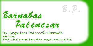 barnabas palencsar business card