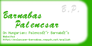 barnabas palencsar business card